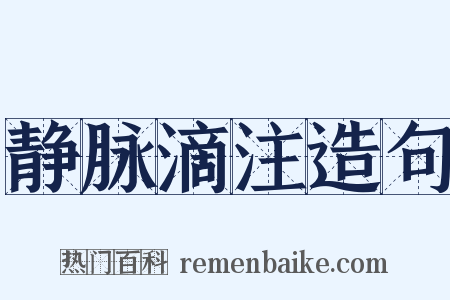 静脉滴注造句是什么意思的图片